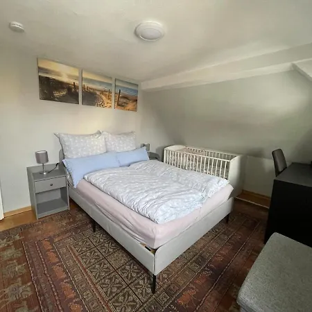 Grand 1777 Neckarmuehle アパート *