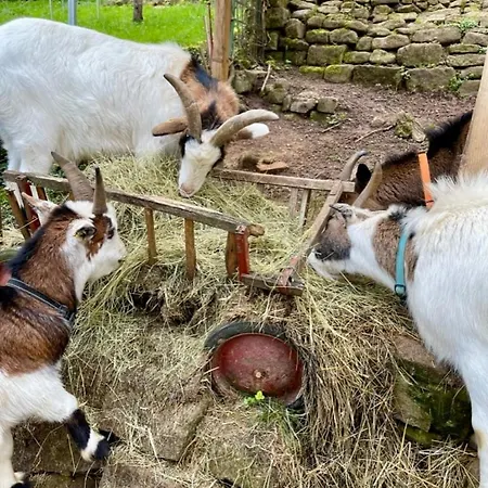 Grand 1777 Neckarmuehle Neckartenzlingen