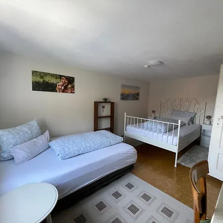 Grand 1777 Neckarmuehle アパート